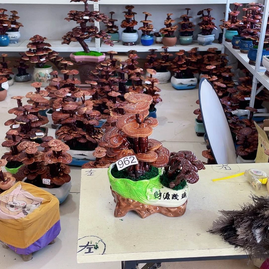 全部花朵兔*962号88888888888888