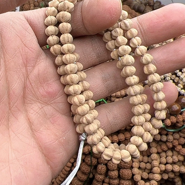 金刚菩提手串不*侯好评