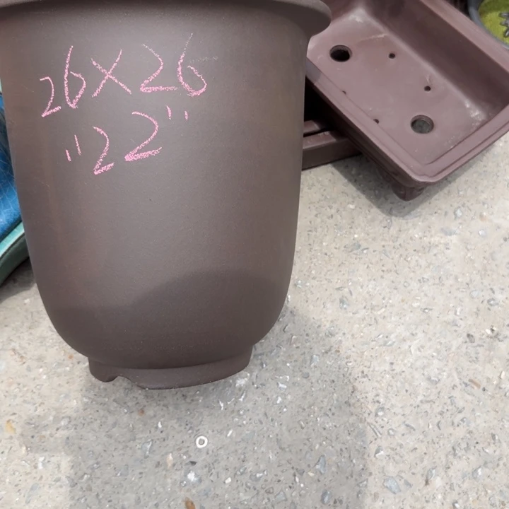 紫砂花s g ho i k k k k k