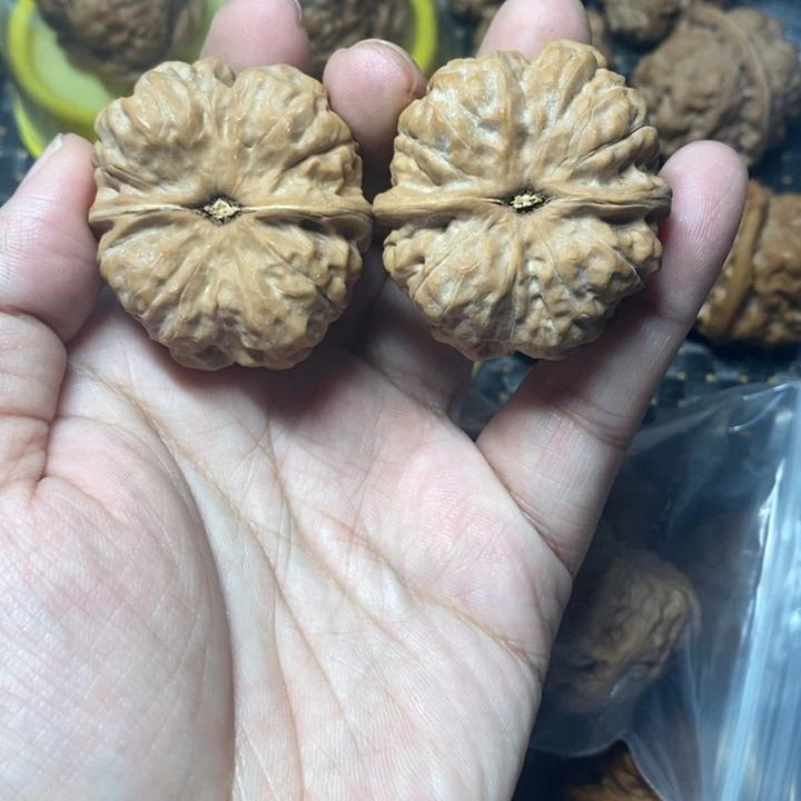 s***y文玩核桃把件蛤蟆39