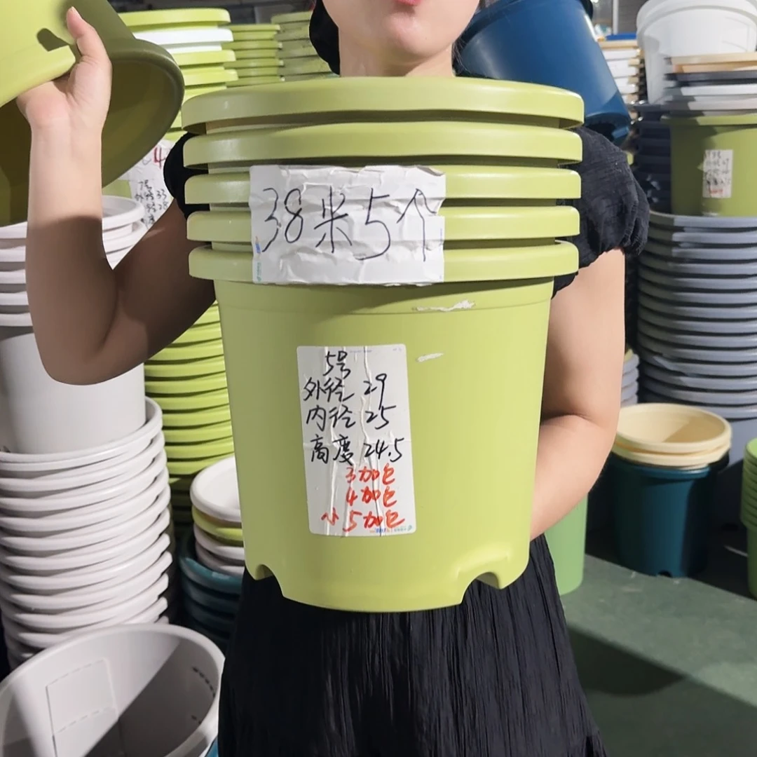 微瑕5#口径29无拖果绿6个