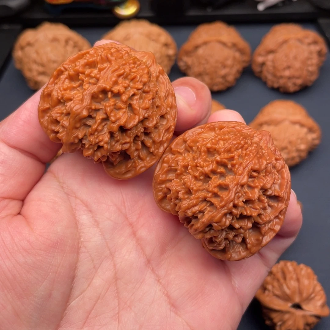 文玩核桃把件43红皮满肉满天星