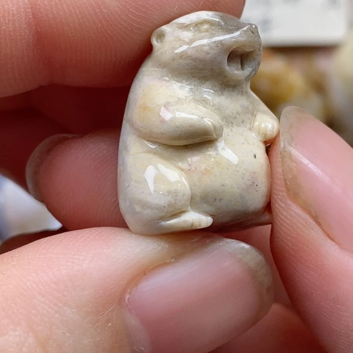 颈饰未镶嵌硅化珊瑚（珊瑚玉）小摆件