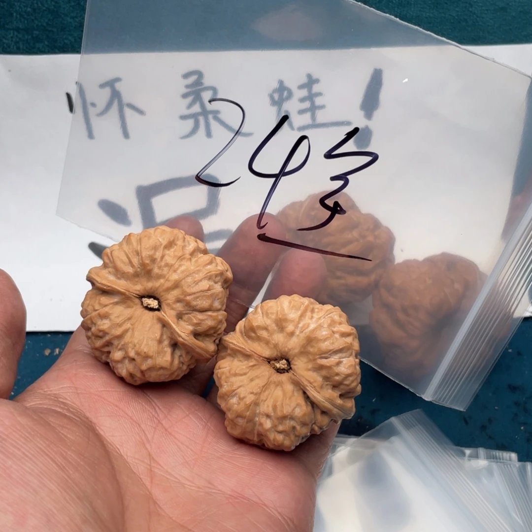 核桃537753735375573357375