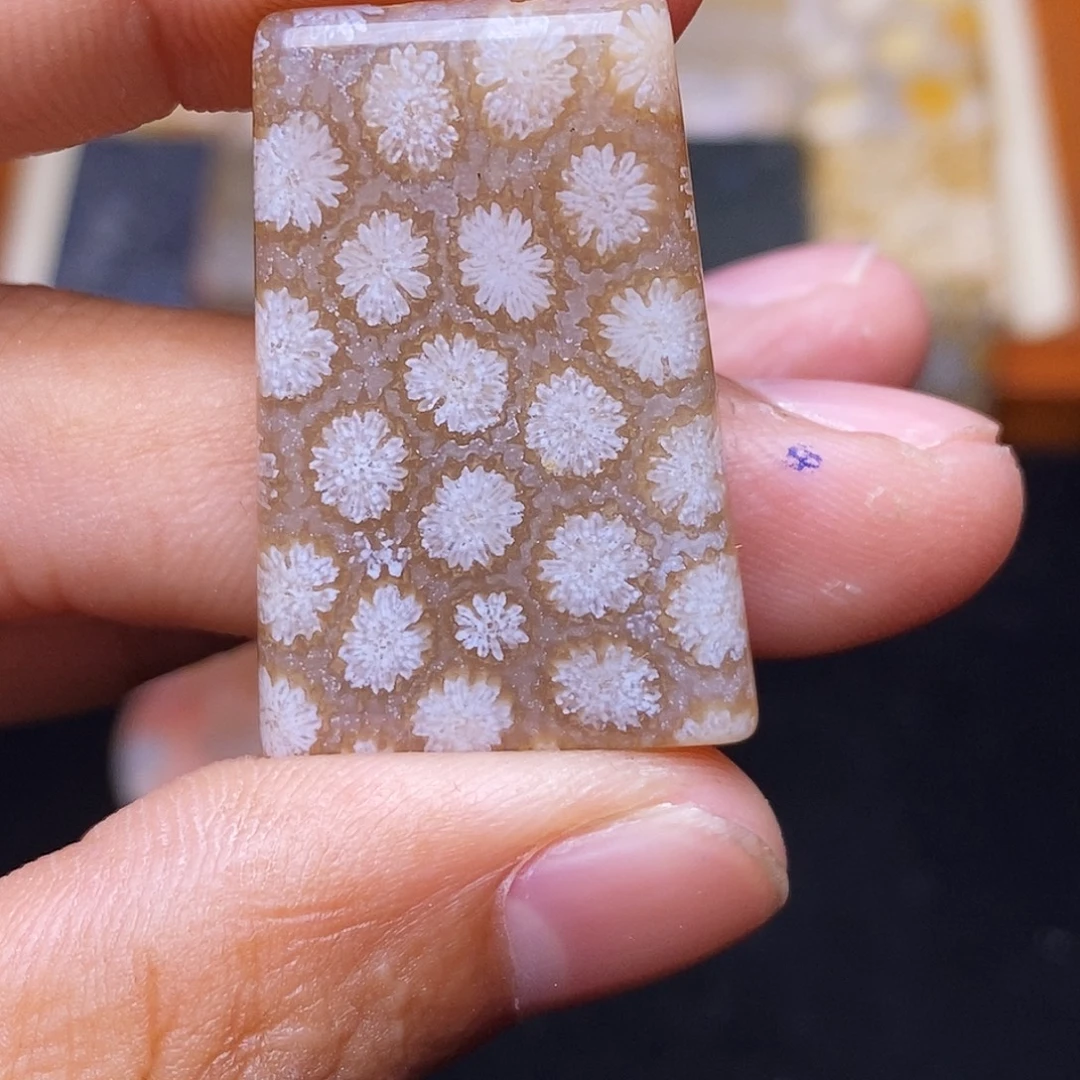 *****合金珊瑚玉硅化玉
