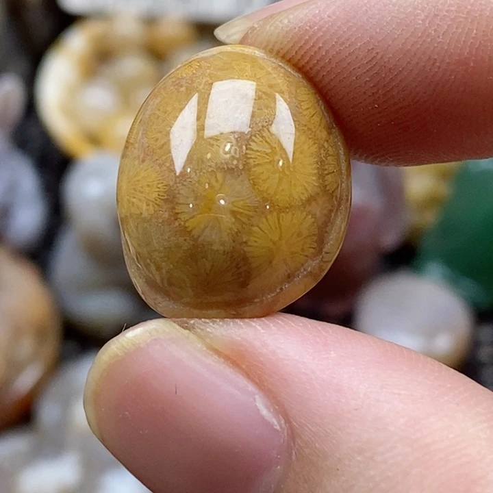 硅化珊瑚（珊瑚玉）颈饰未镶嵌7***j