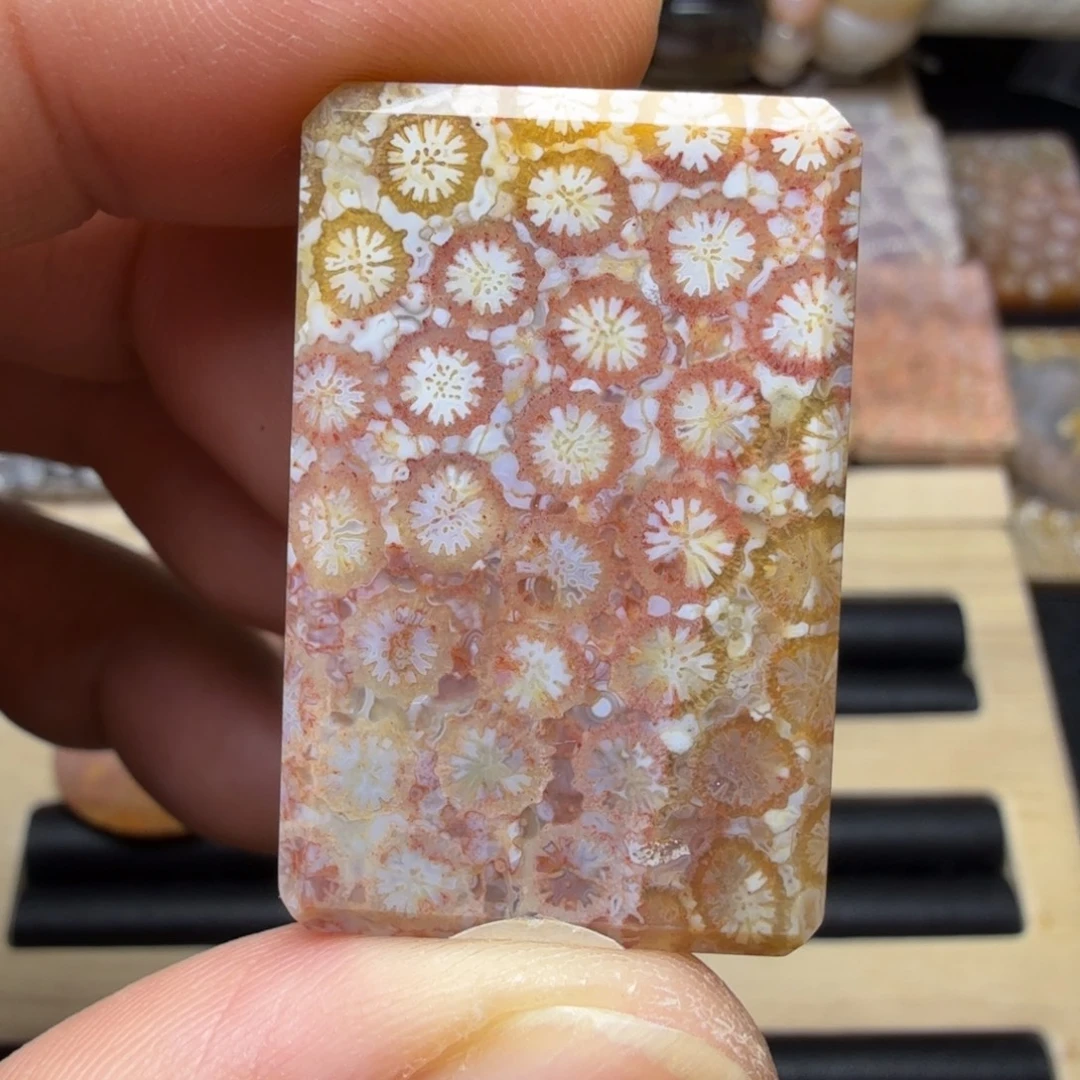 硅化玉未镶嵌纯天然色有机玉石保真色