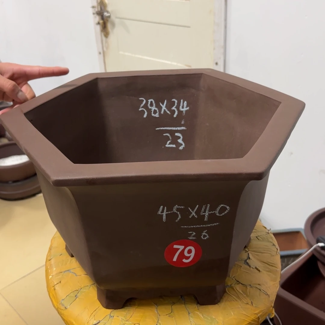 紫砂花盆呜呜呜呜