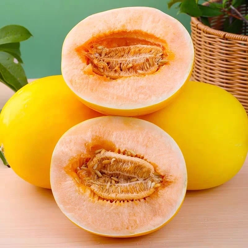 产地直发甘肃民勤沙漠蜜瓜6-9斤