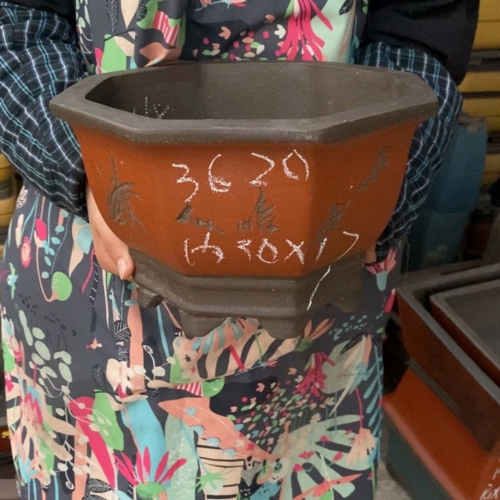 紫砂花盆只顾在这
