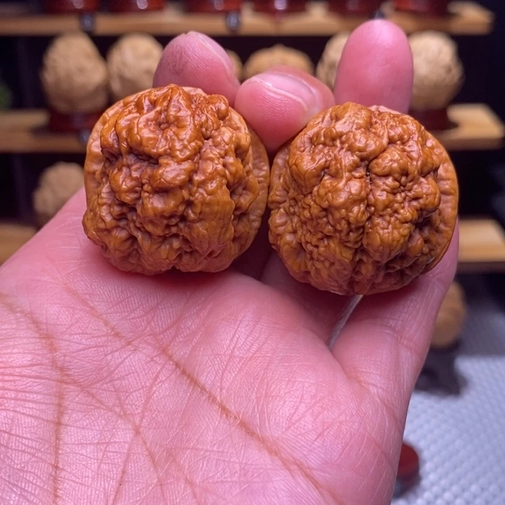 木质类云铁血舍利31号