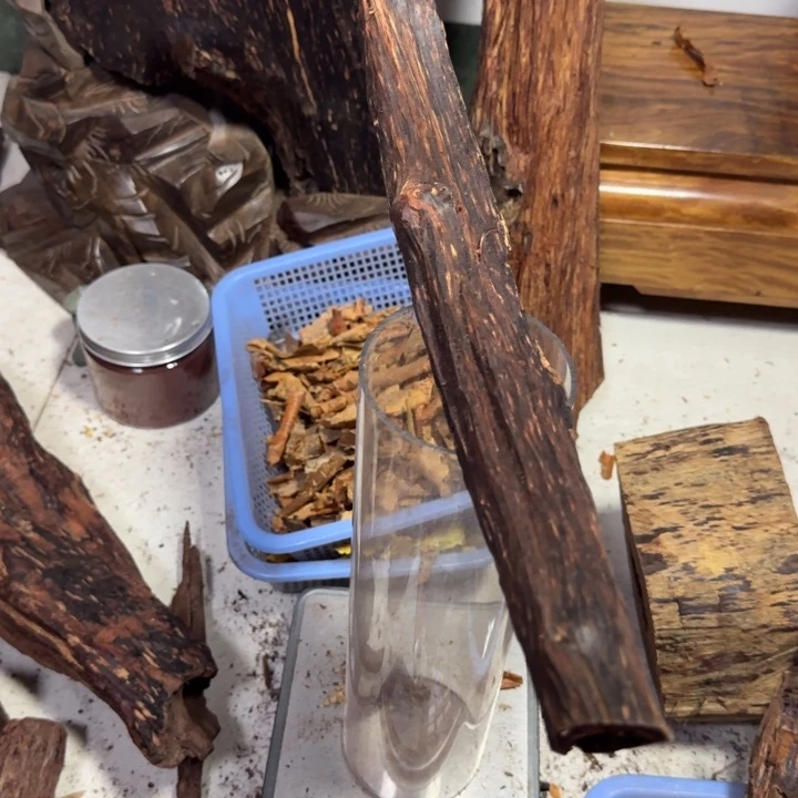 花梨木类海南小叶降真香