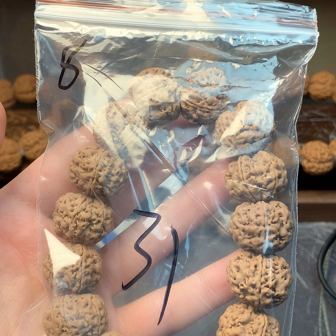 金刚菩提吊坠阿*8/////////