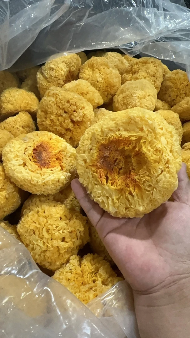 10斤福建古田银耳碎雪耳丑耳碎片干货一煮即糯500克起