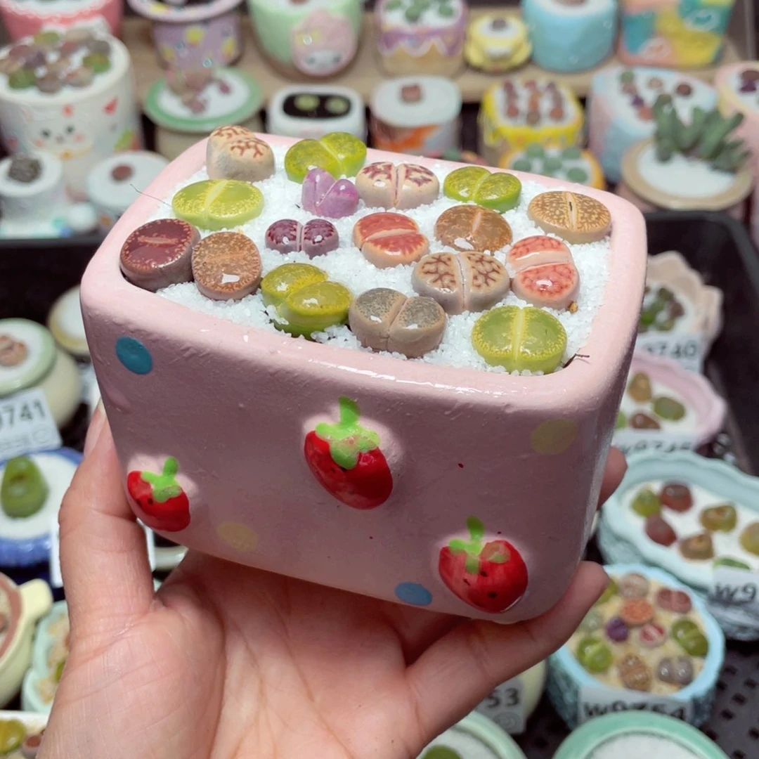 w9758 -零下地区拍保温箱-15支持寄养