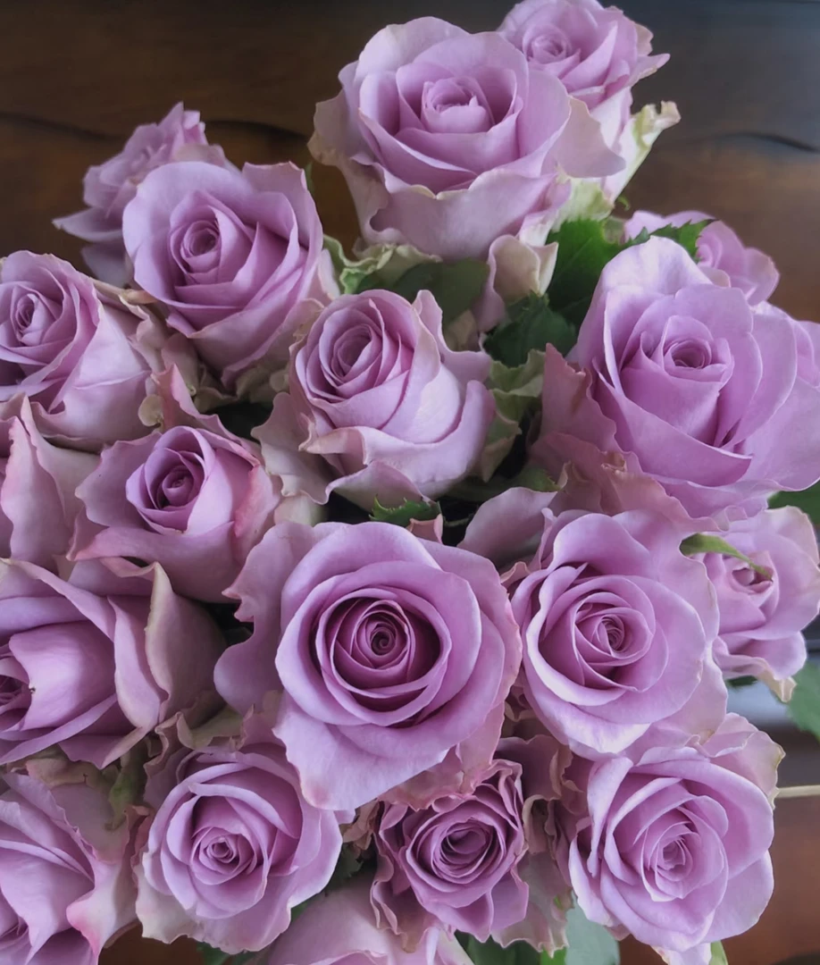 【紫霞仙子玫瑰】紫色玫瑰花苞小 收到鲜花第一时间醒花 云南鲜花