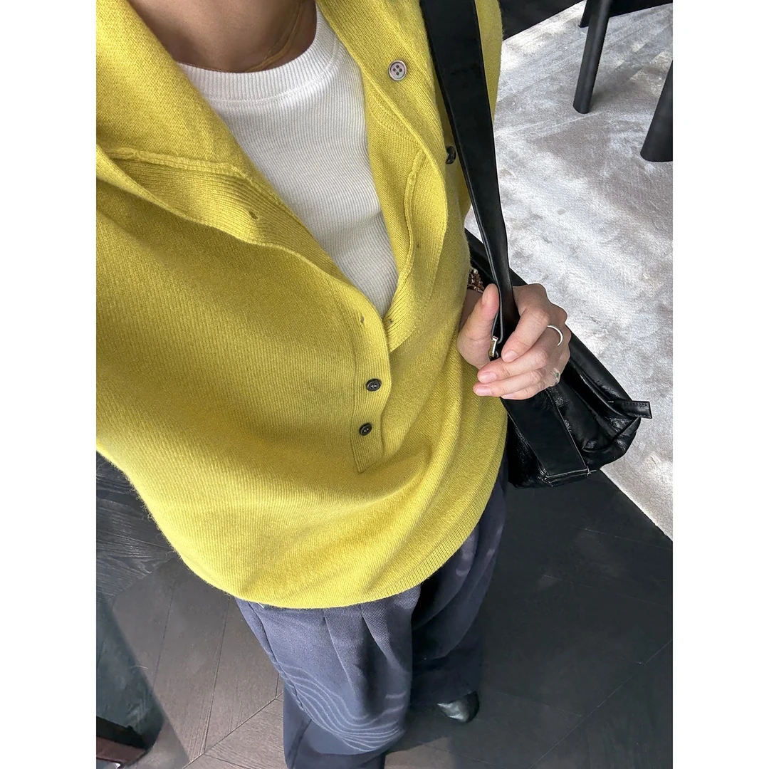 蓝豚豚 10月18号20:00上新~5三色带帽休闲毛衣