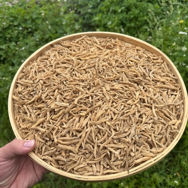 西藏波密麦冬精选