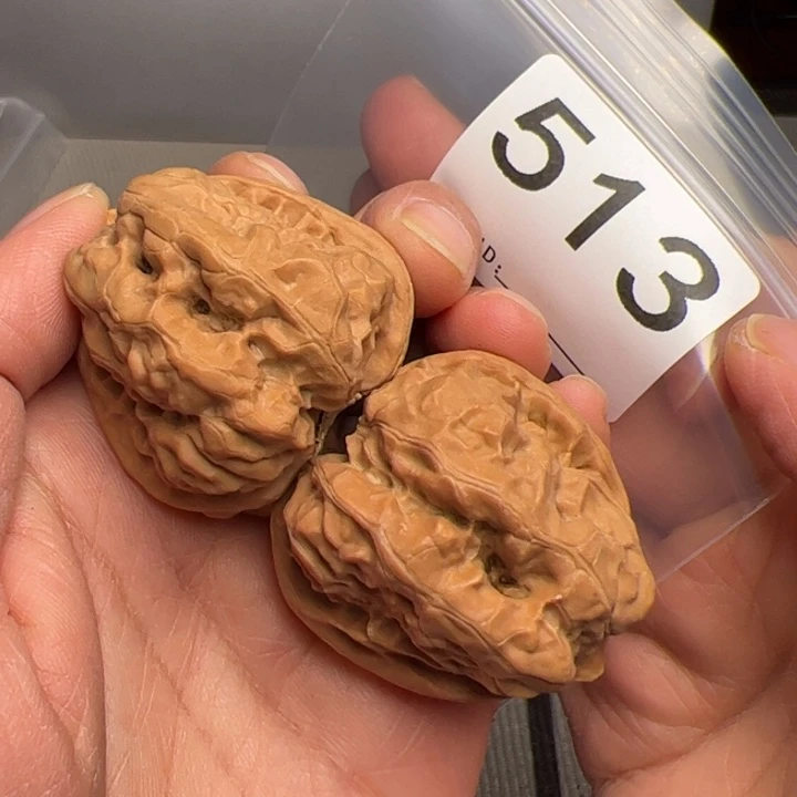 核桃39边44肚513号