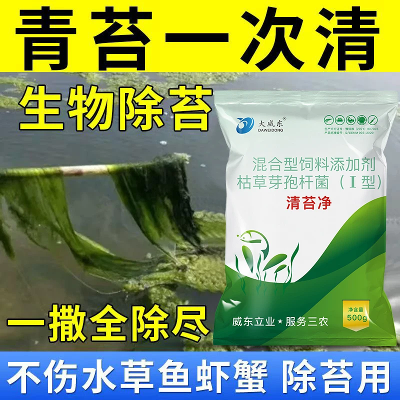 【一袋用10亩】清苔净去除水面青苔悬浮青苔水下青苔不伤水质