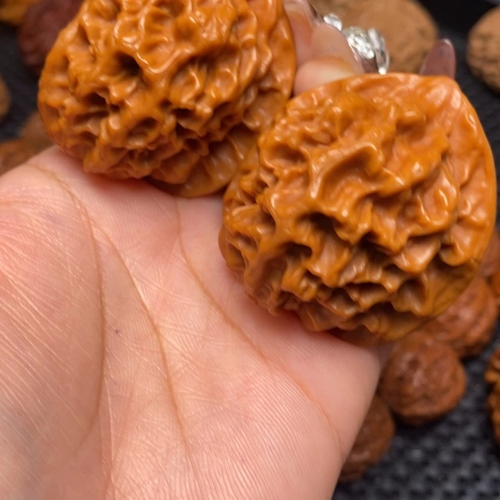 秦岭野生00000080