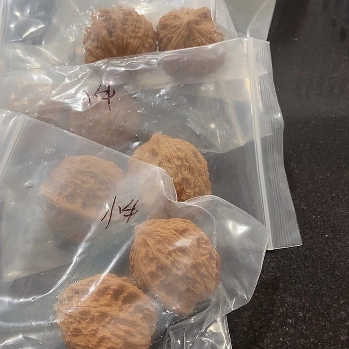 吊坠文玩核桃小牛