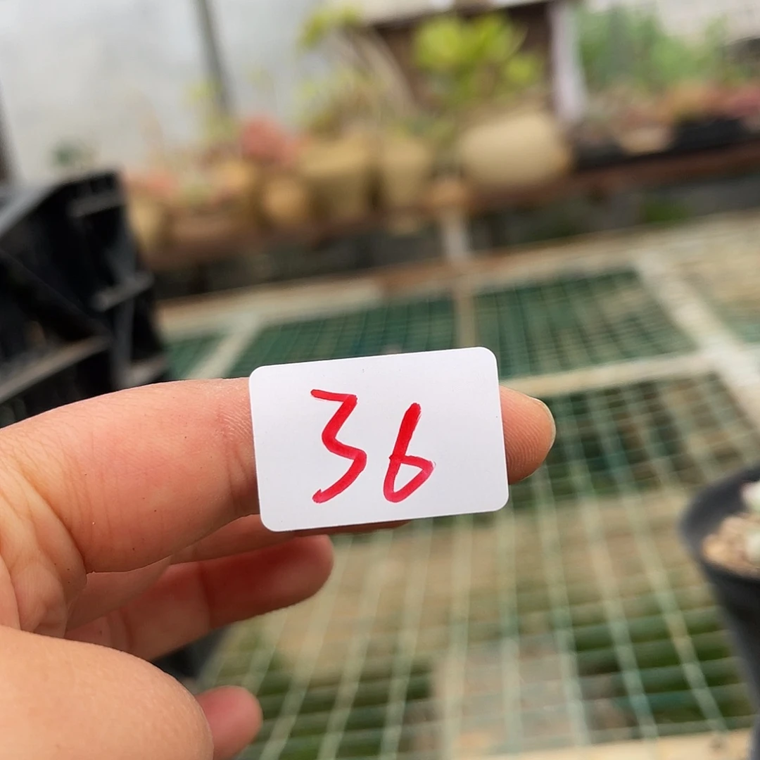 用****436。   11111111111