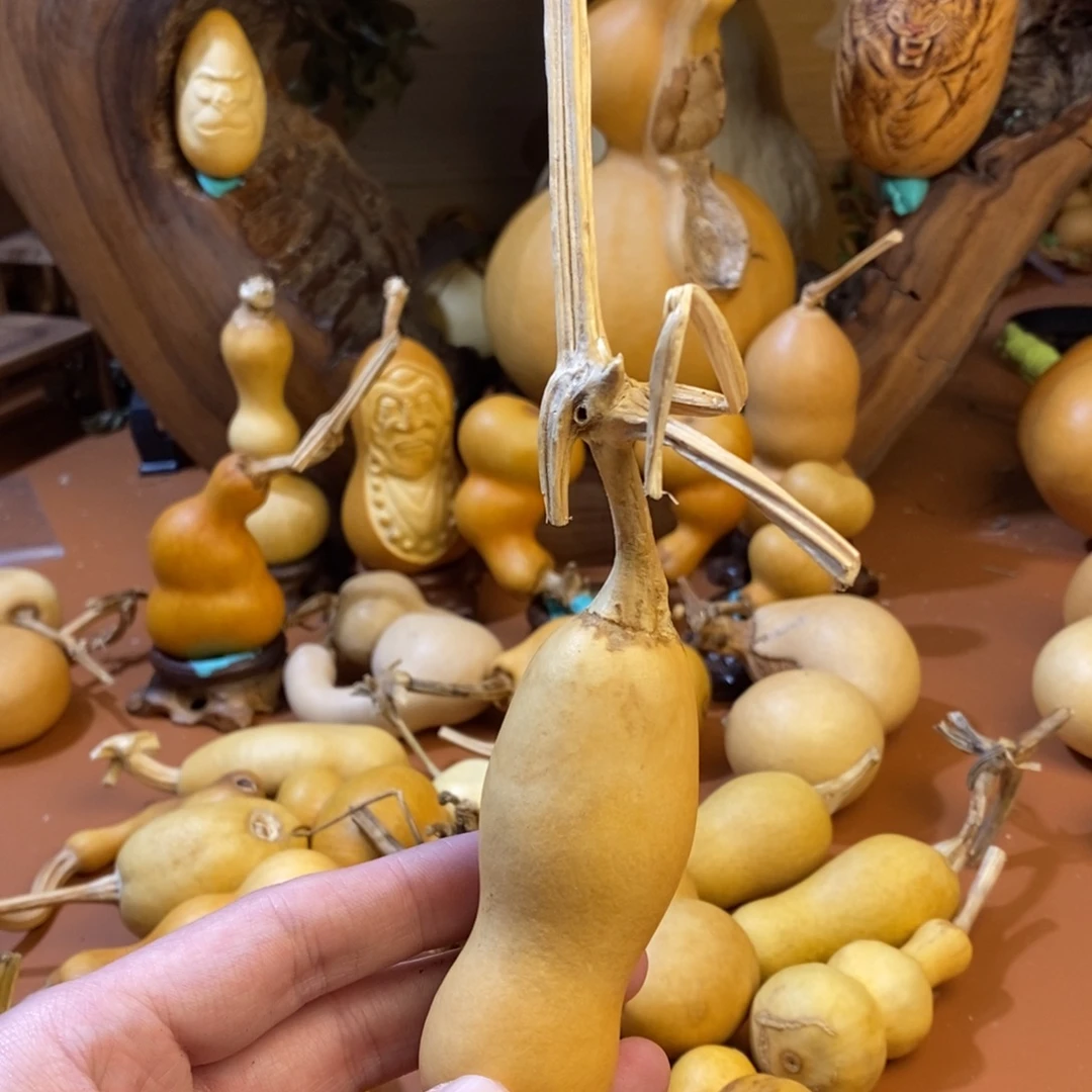 老***勒教练教练教练教练啦