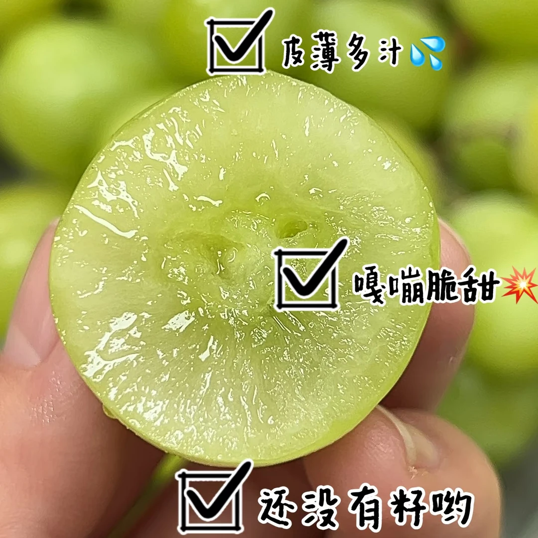 青提一袋约1000g青提