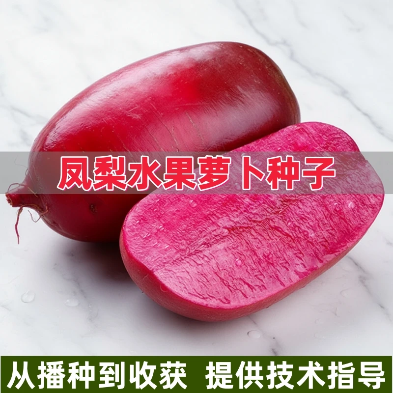 凤梨萝卜种子沙窝甜脆水果型种籽春秋天红皮红心萝卜四季蔬菜种孑