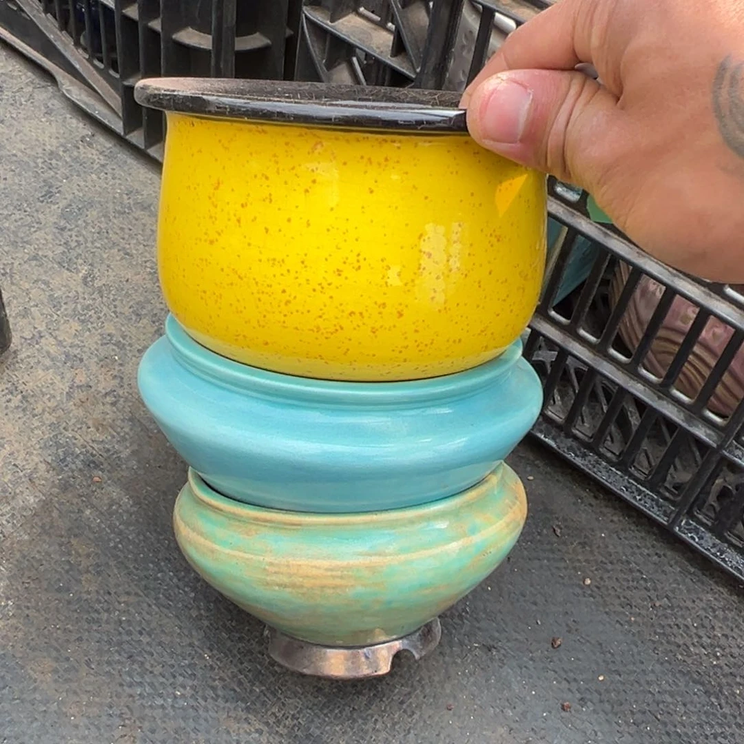 多肉一物一拍0209-105