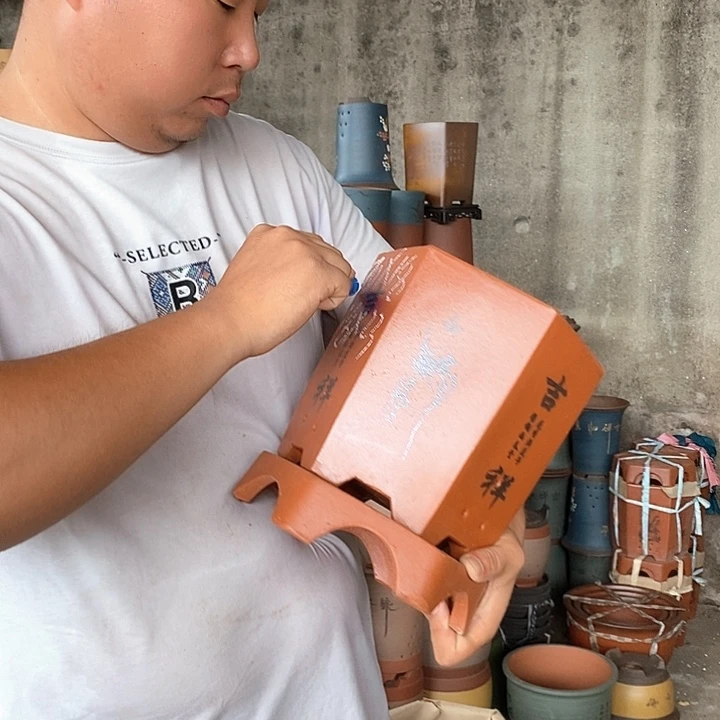 紫砂花盆盆栽花卉苗木种植