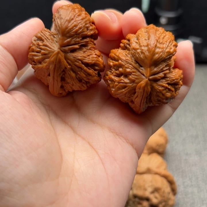 文玩核桃白狮子犀牛角
