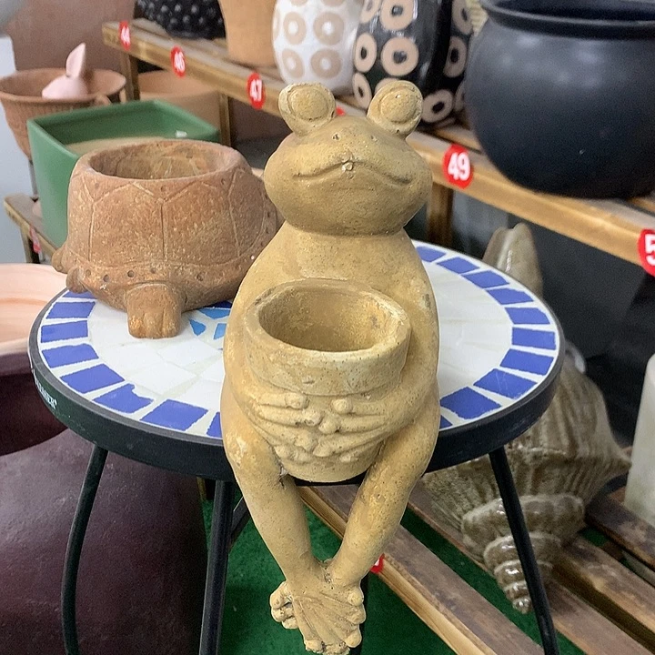 红陶咪*妈样品龅牙123456