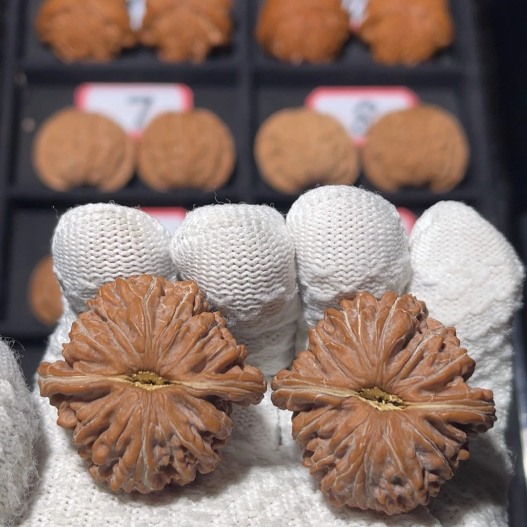 文玩核桃吊坠01秦皇岛山地果全品一代楼