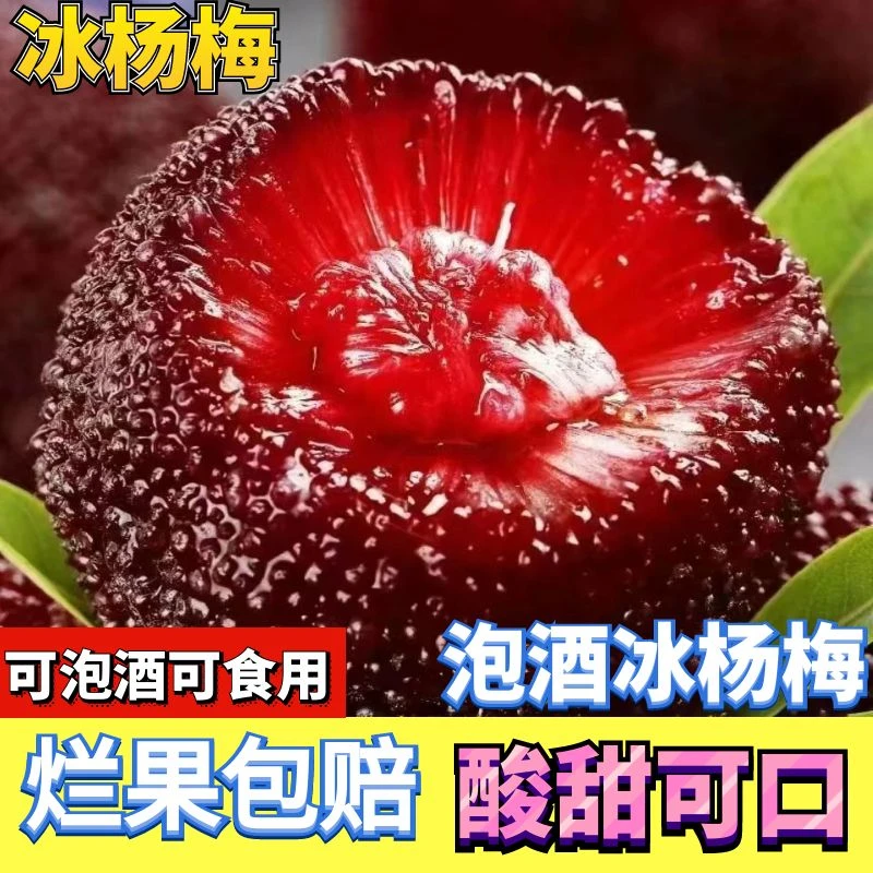 新鲜冰杨梅冷冻冰鲜杨梅冰冻非仙居冰冻杨梅泡酒一整箱冷链包邮