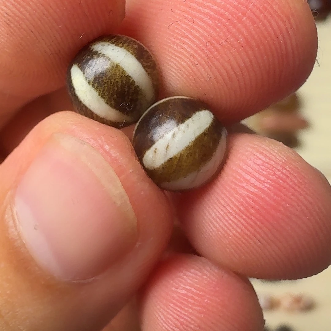 珠珠珠珠珠珠珠珠珠珠
