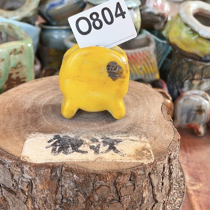 紫砂花盆开播福利 陶瓷花盆