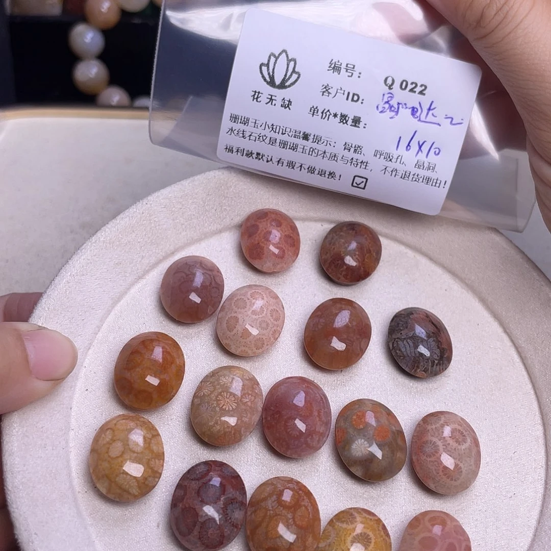 晶***猫未镶嵌手镯硅化玉
