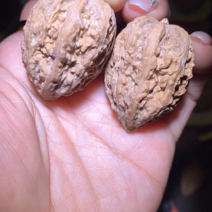 文玩核桃把件东北野生楸子小美10