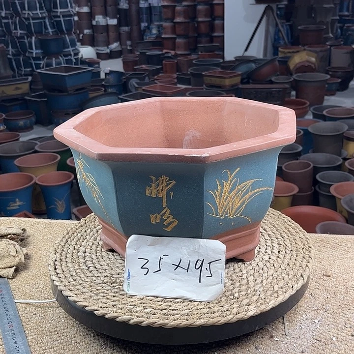 紫砂花钱紫砂花盆紫