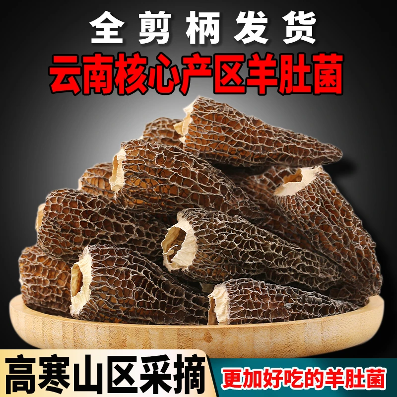 云南特产 高寒山区天货头茬羊肚菌新鲜干货菌菇汤包菌菇