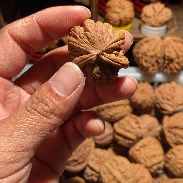 蛤***人核桃白狮子三棱34