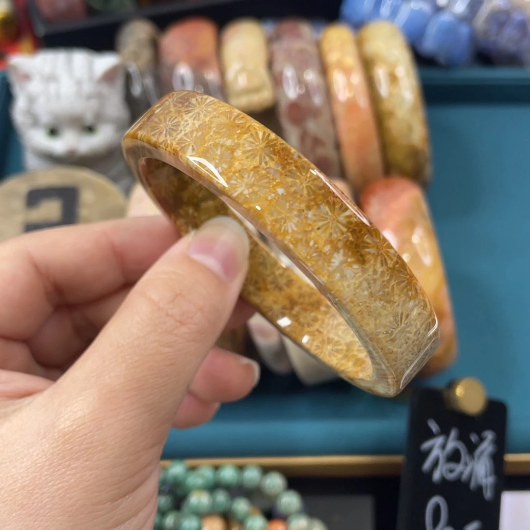 未镶嵌手镯硅化玉