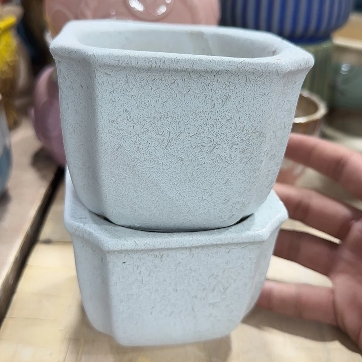 全部花盆福利处理···满10包邮