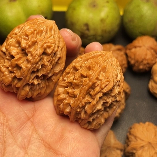 文玩核桃壁虎一对