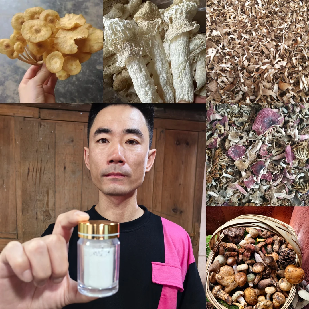 【土特产菌/阿龙专属z19】重量13g