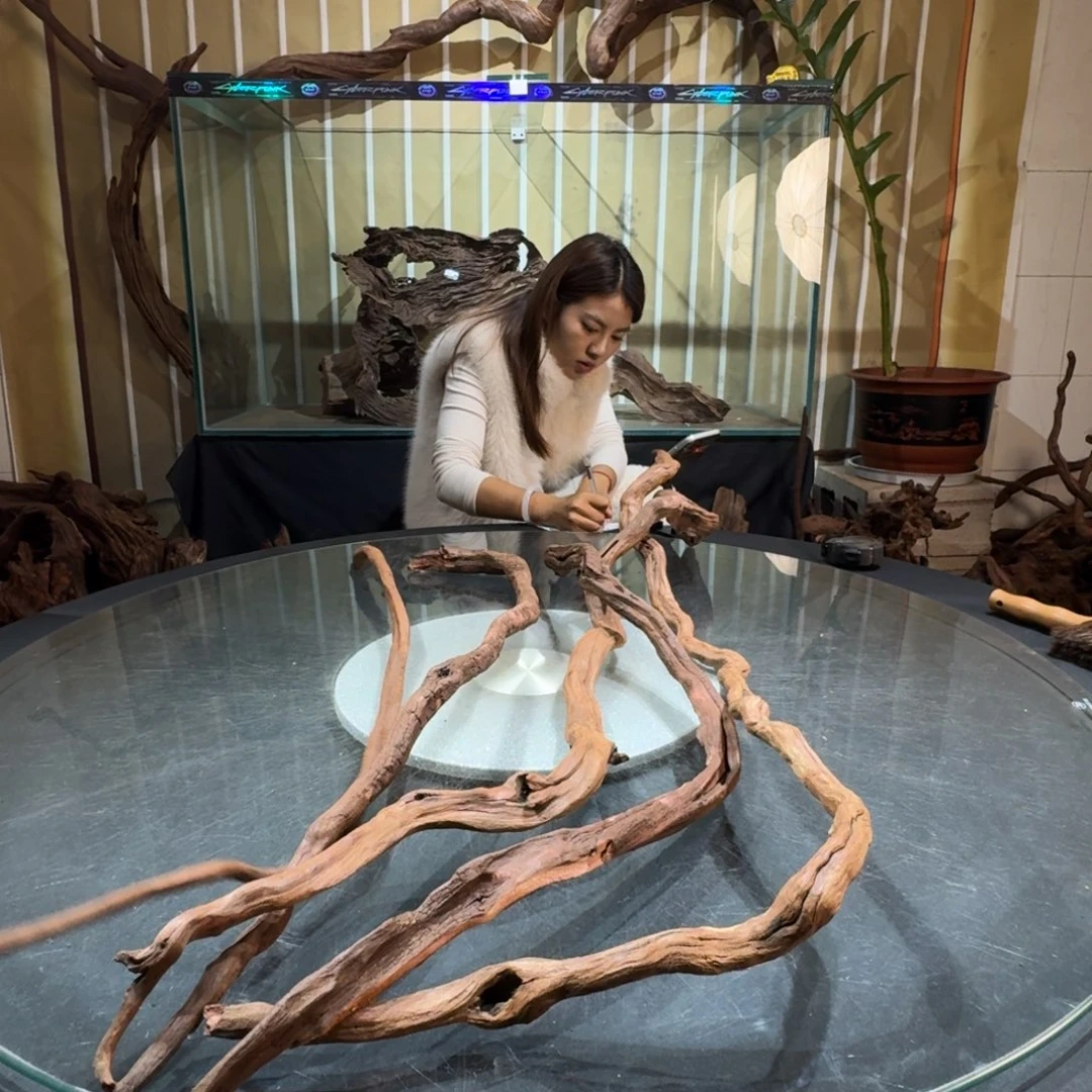 一物一拍鱼缸造景