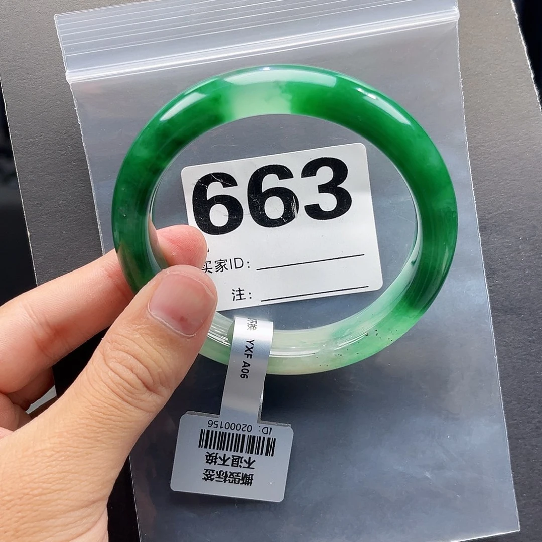 未镶嵌手镯石英质玉（非洲翠）63圈口663