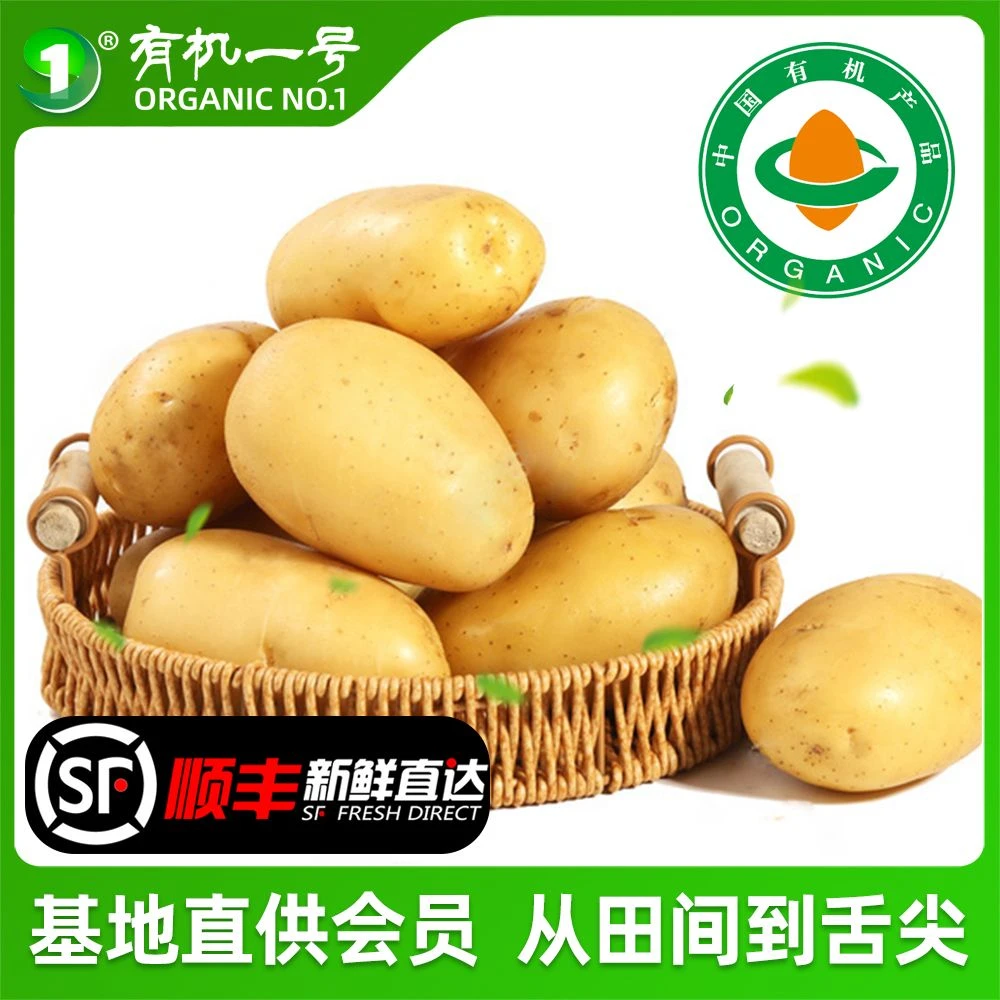 有机土豆3斤/5斤新鲜蔬菜香甜可糯土豆马铃薯无农残顺丰包邮